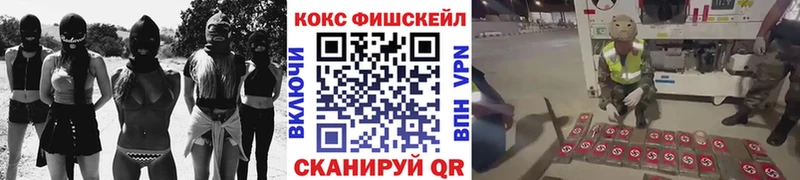 Cocaine FishScale Купить где Ростов-на-Дону