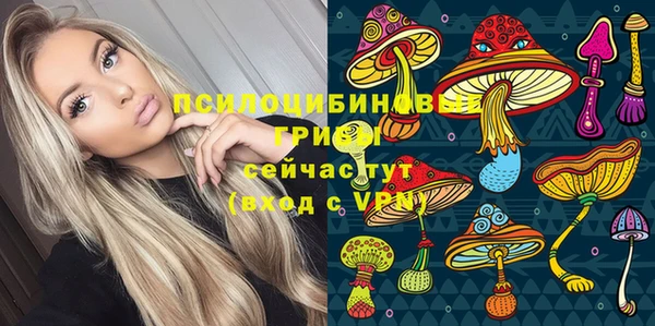 бошки Касимов
